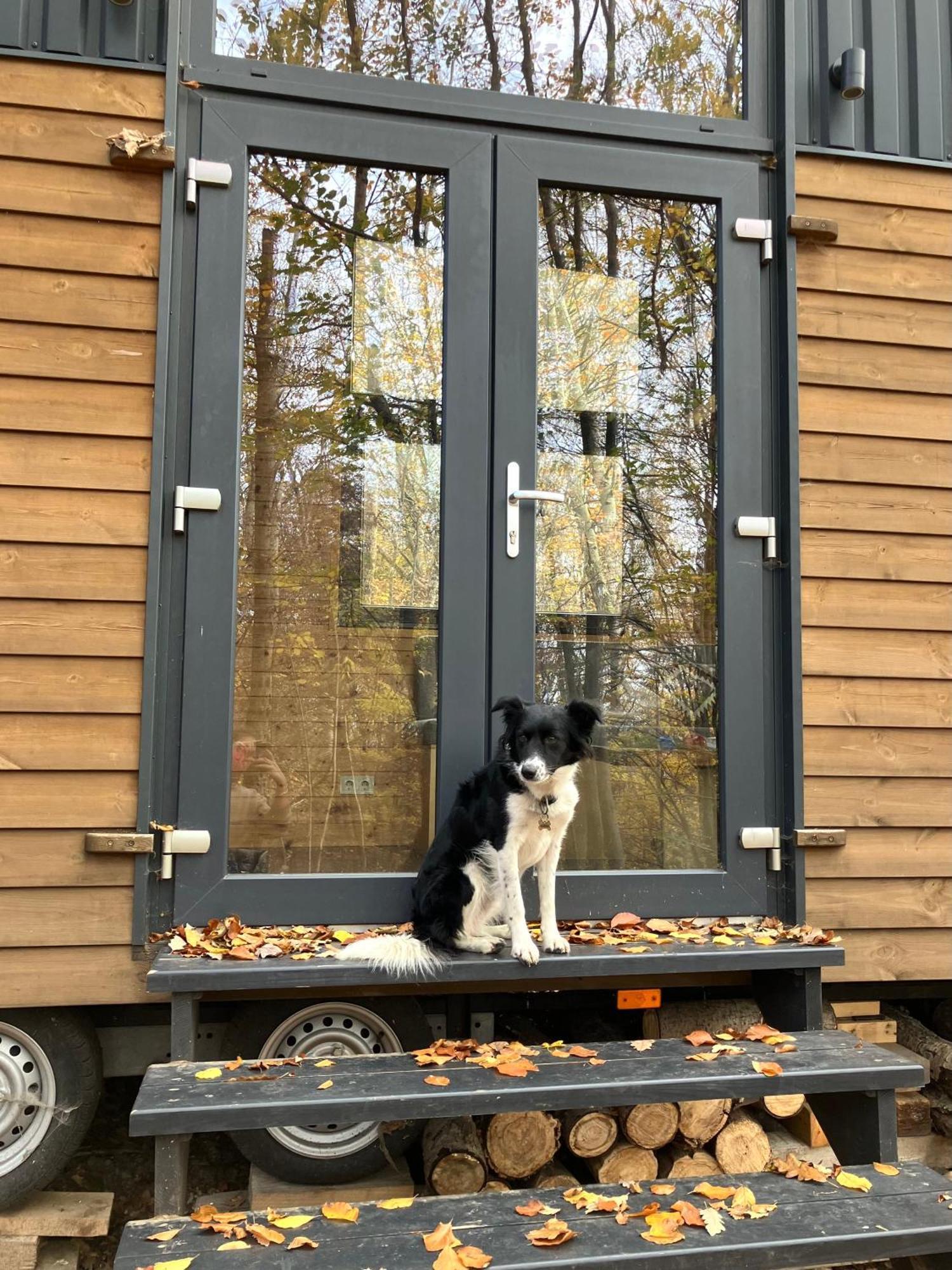 Apartment Pop Tiny House Matra *